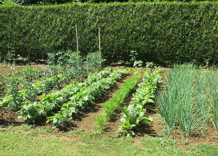 Les Quatre Saisons Bed & Breakfast Moitron-sur-Sarthe