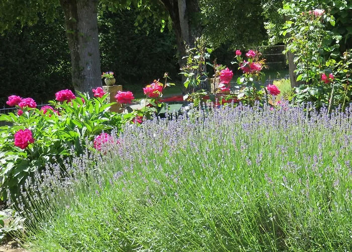 Bed & Breakfast Les Quatre Saisons Moitron-sur-Sarthe