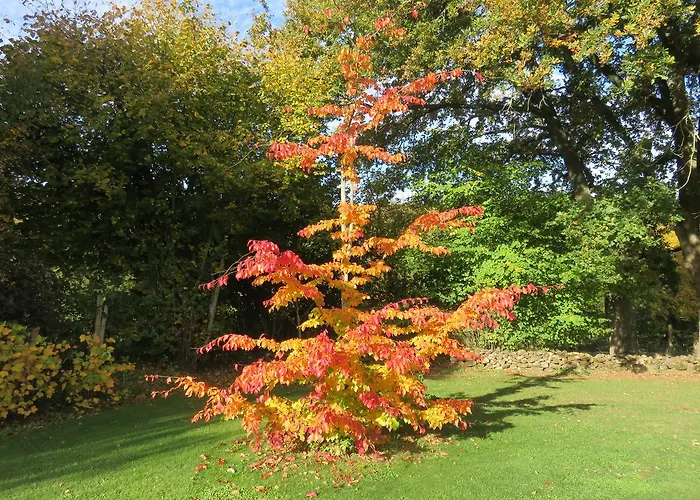 Les Quatre Saisons Bed & Breakfast